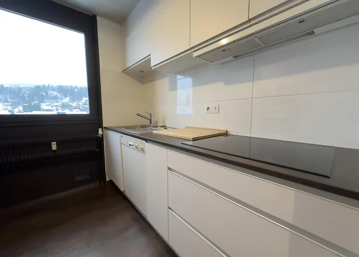 Le Grison Appartement *